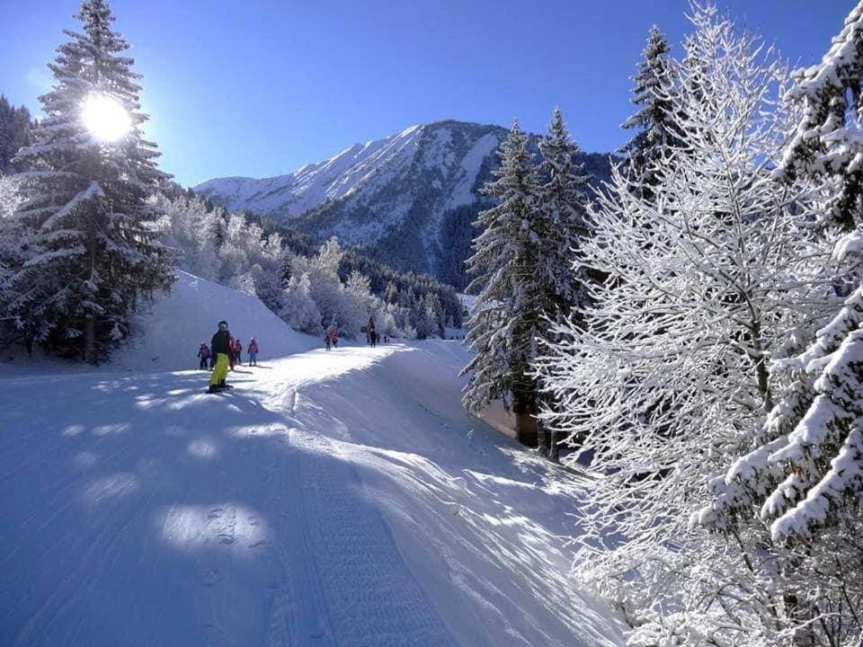 Le Grandcoeur Apartment Le Bourg-d'Oisans Luaran gambar
